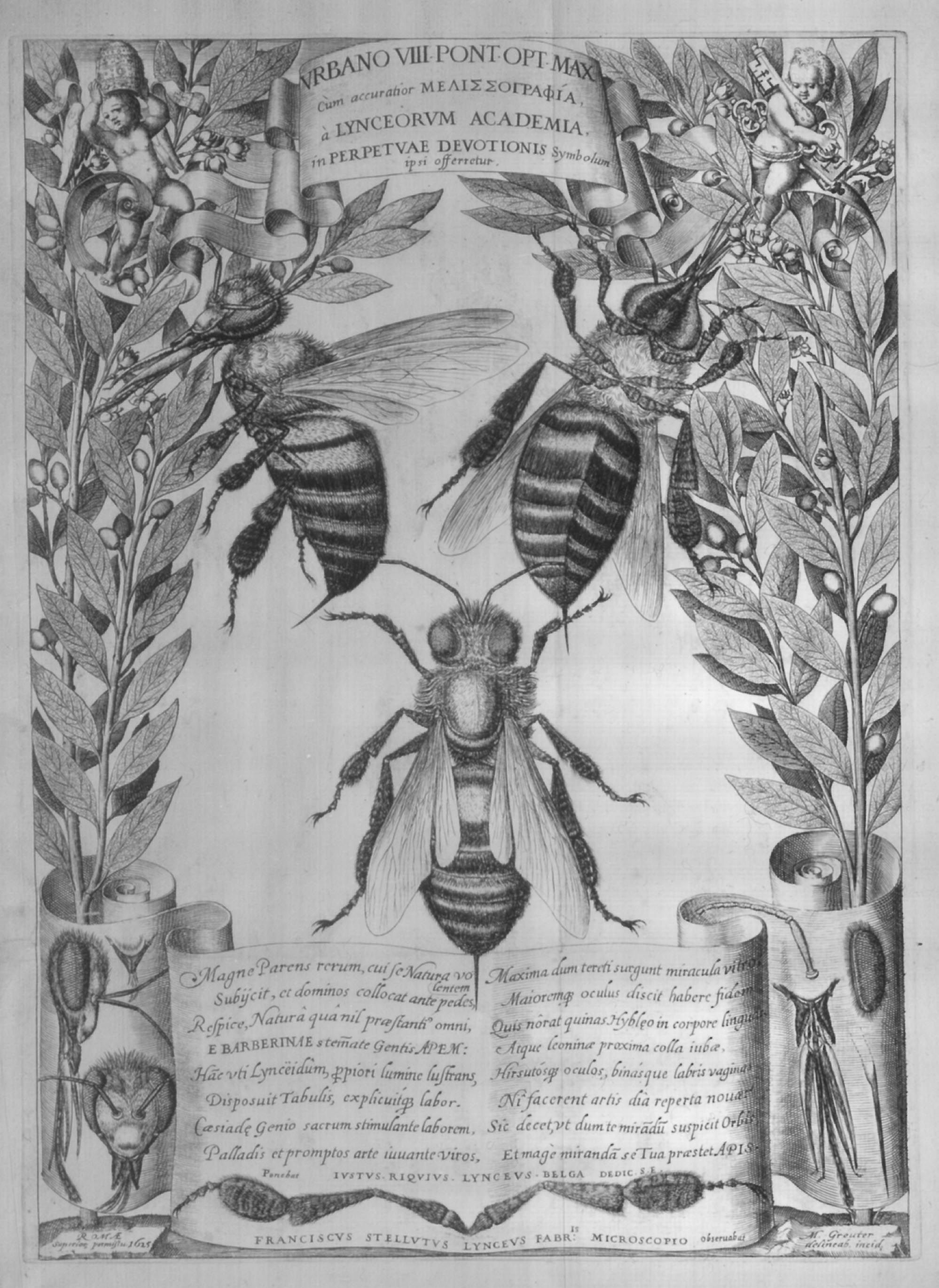 Mappa Melissographia